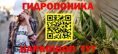 прущие грибы Абинск