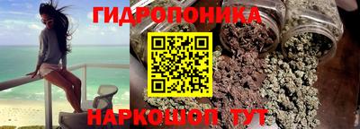 прущие грибы Абинск
