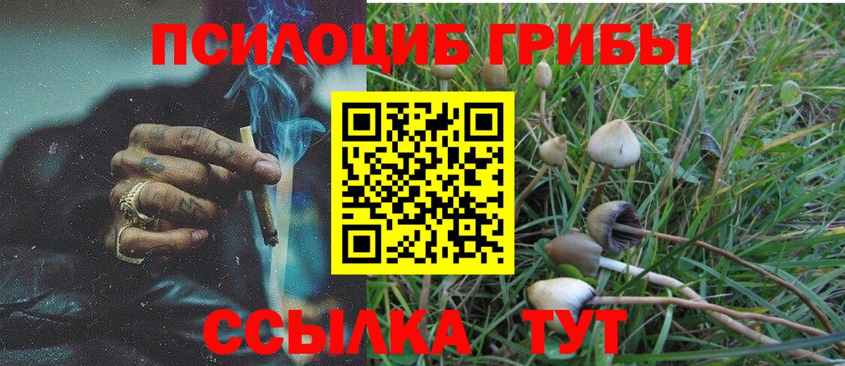 Псилоцибиновые грибы GOLDEN TEACHER Абакан