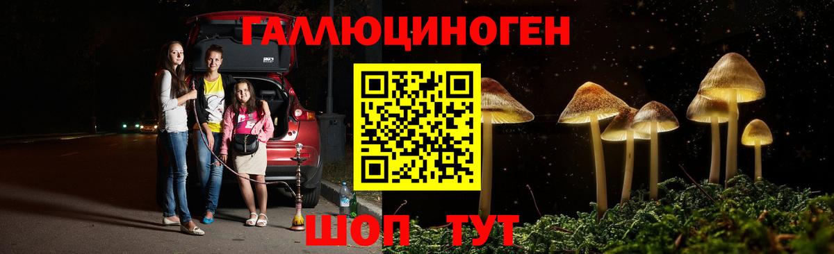 Галлюциногенные грибы GOLDEN TEACHER  Вход с VPN  Галлюциногенные грибы мухоморы  Абакан 